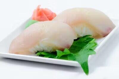 (S11) Red Snapper